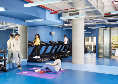 Scape Lincoln College